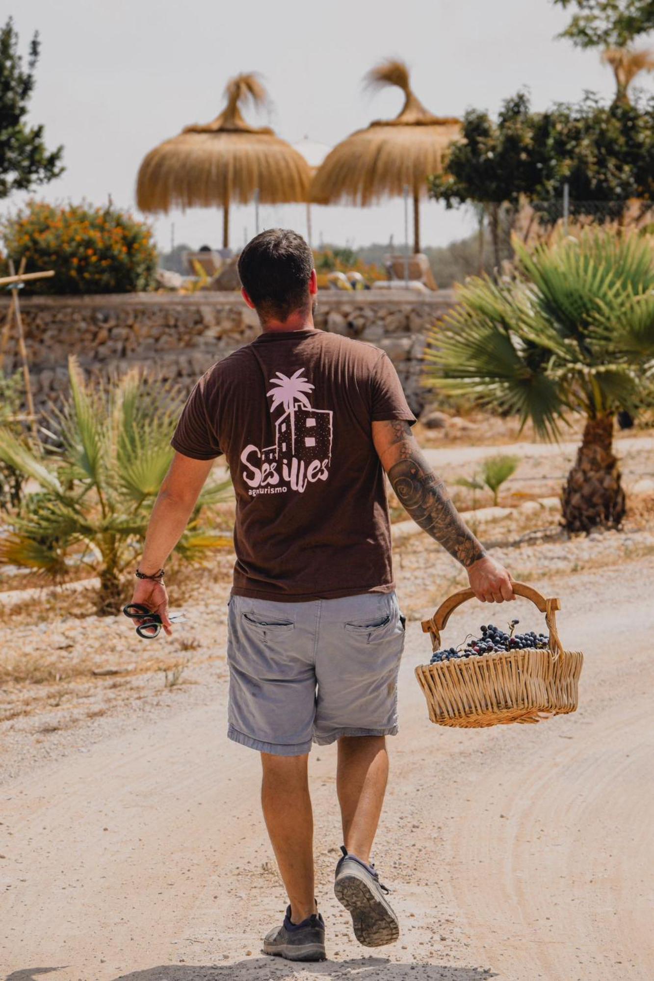 Agroturismo Ses Illes كوستيتيكس المظهر الخارجي الصورة